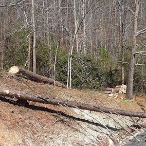 Meet your Posher, Wi li